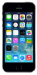 iOS 7.0